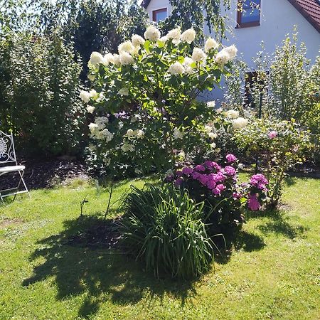 Waldwinkel Apartamento Treuchtlingen Exterior foto