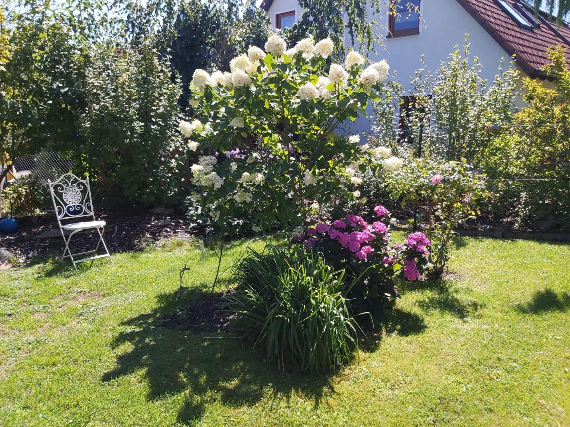 Waldwinkel Apartamento Treuchtlingen Exterior foto
